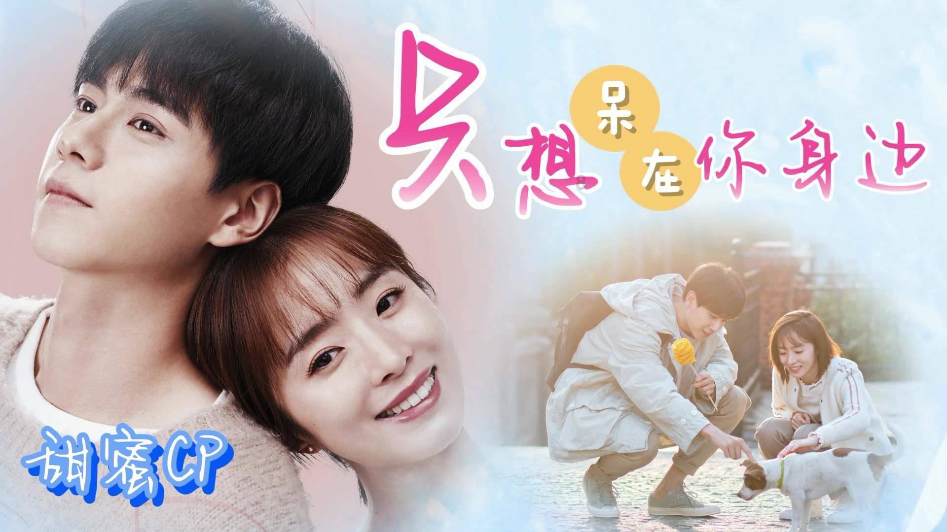 玄凤鹦鹉怎么养才亲人？游戏画面