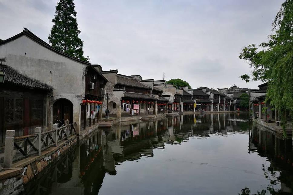 小犀牛救援